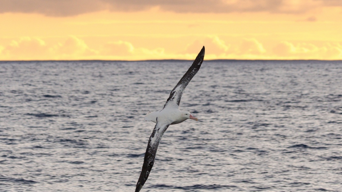 Фото: Rob Oo, visualhunt