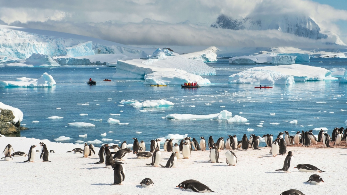 Фото: Anthony_Smith