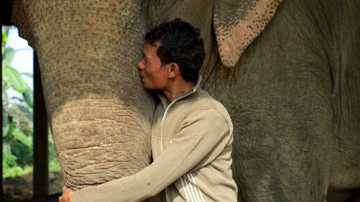 Фото: andreaffm, VisualHunt.com 