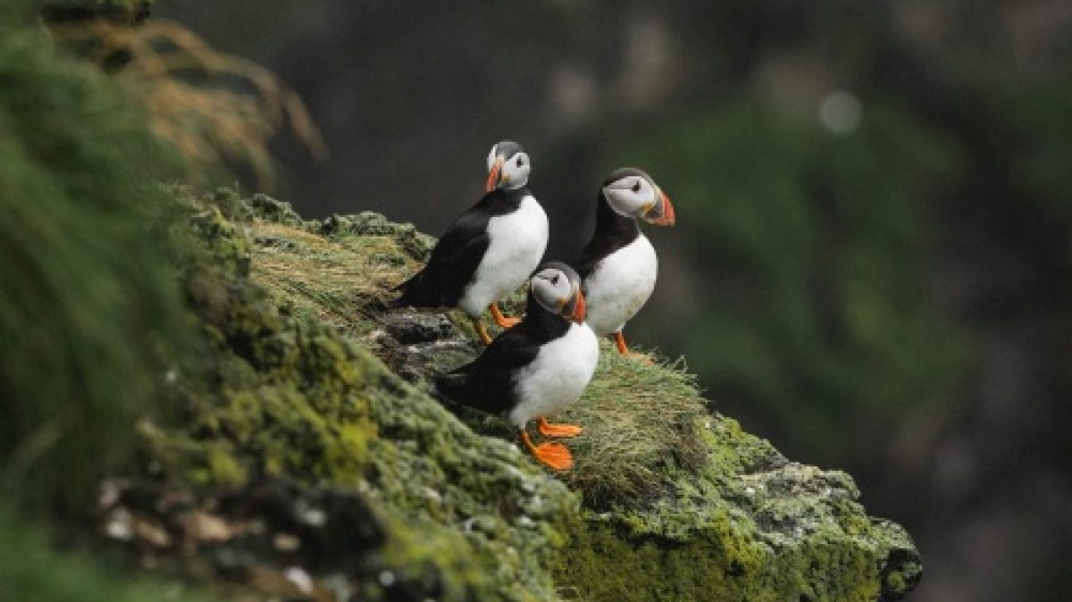 Фото: Karsten Winegeart on Unsplash