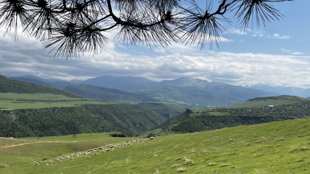 Фото нашего гида Марии Тергоевой