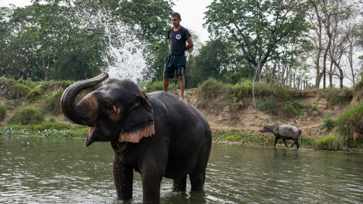 Фото нашего Странника Станислава Дышева