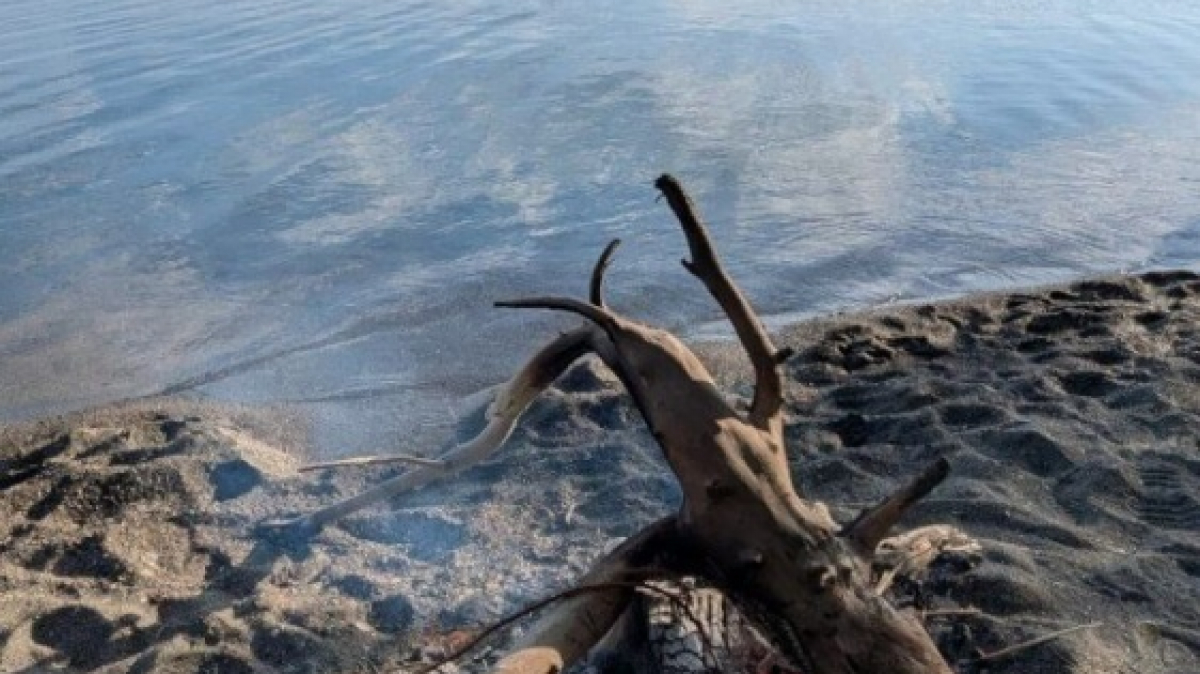 Фото нашего гида Марии Тергоевой