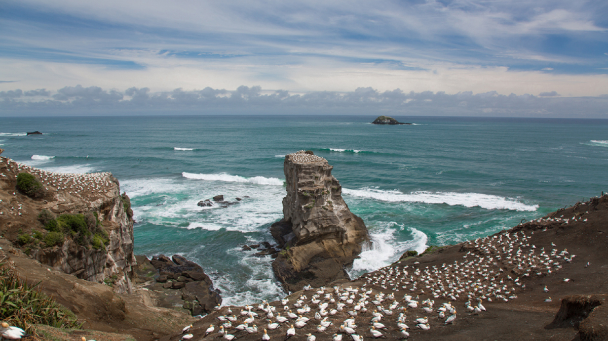 Фото из архива Клуба