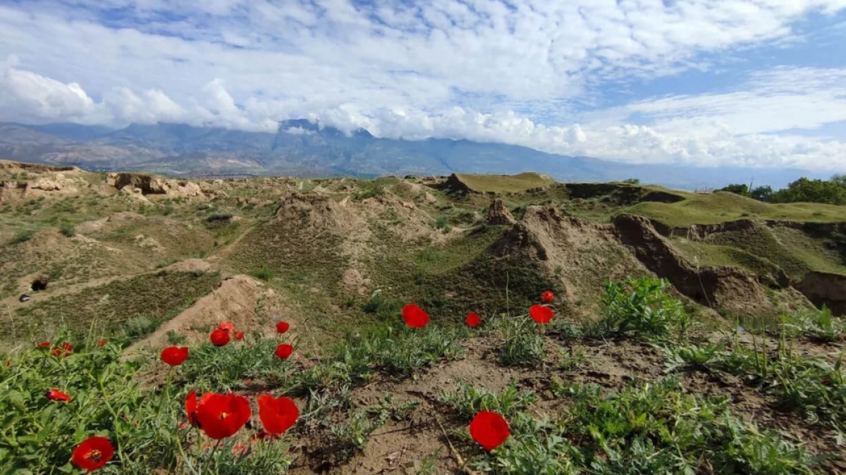 Фото нашей Странницы Ершовой Анастасии