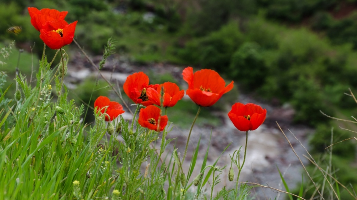 Фото: Жидков Анатолий