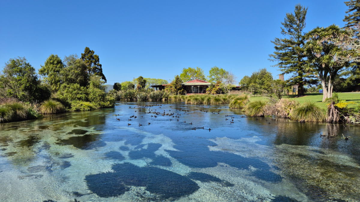 Фото наших партнеров JustGo ThereNZ