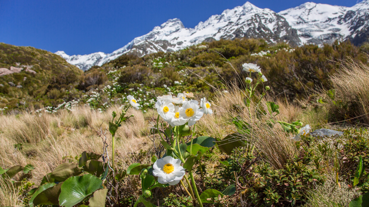 Фото нашей Странницы Татьяны Руновой