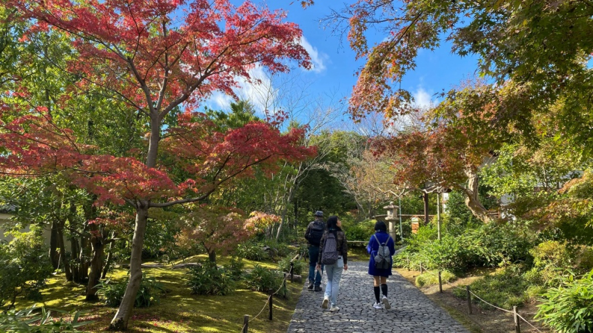 Фото Skaterlunatic, unsplash.com
