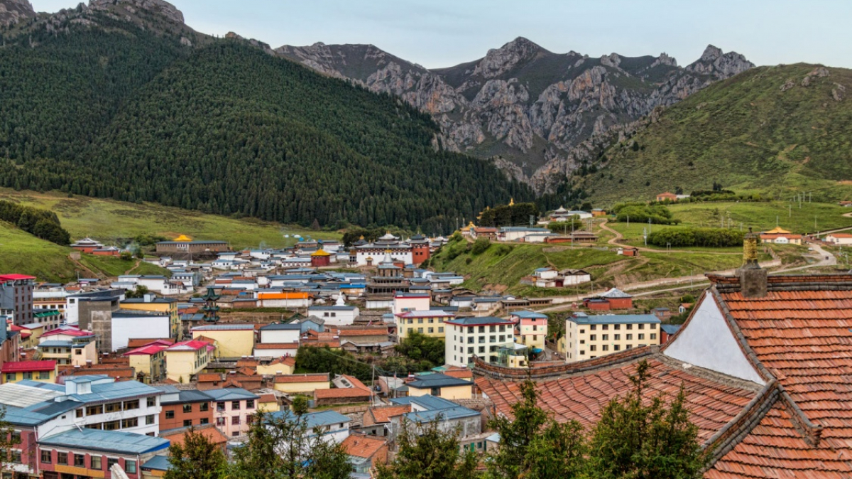 Фото: Daniel Andis on Shutterstock