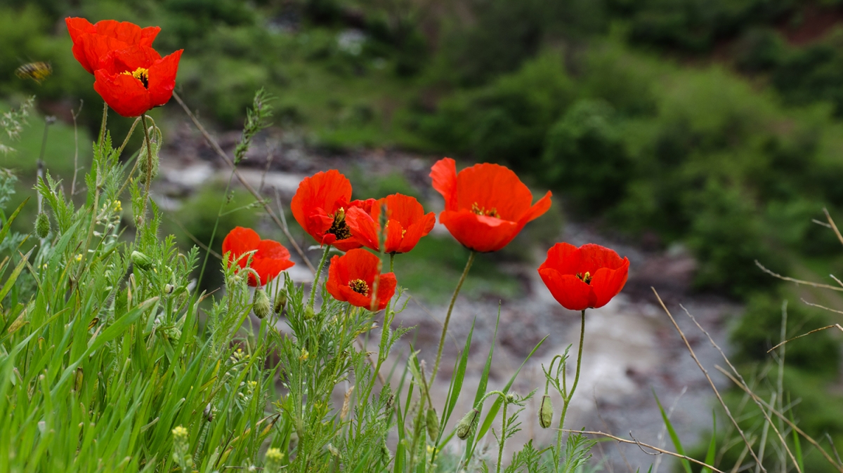 По дороге к перевалу Тоо Ашу. Фото: Анатолий Жидков