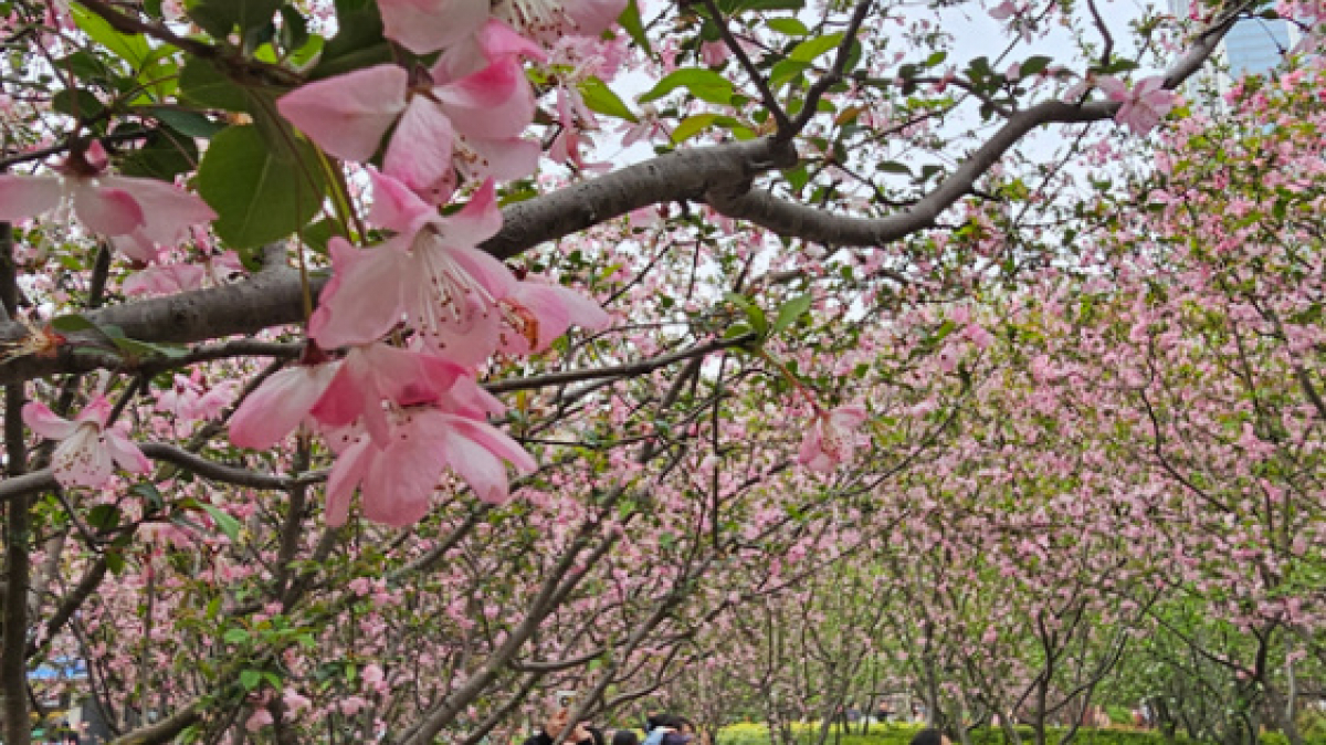 Фото: наш гид Вероника Юнда
