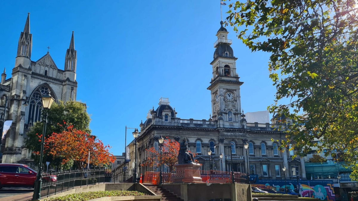 Фото наших партнеров JustGo ThereNZ