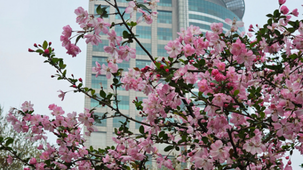 Фото: наш гид Вероника Юнда