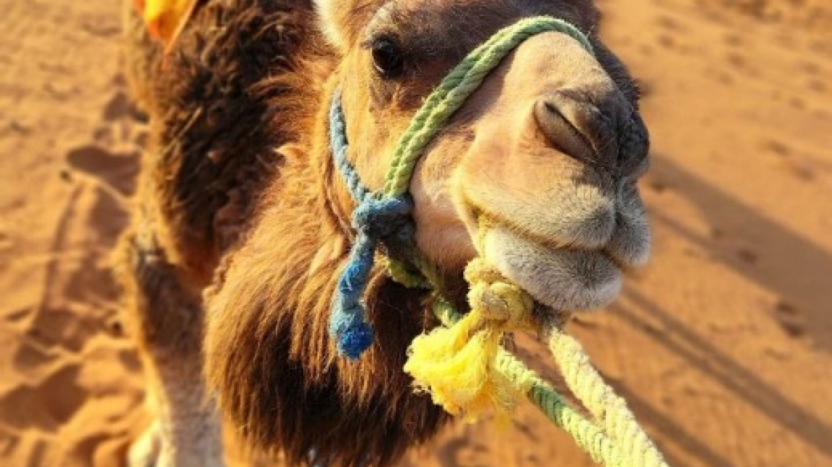 Фото нашего гида Натальи Кислушко