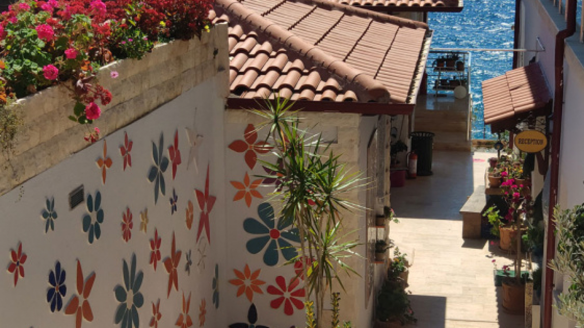 Фото наших Странников