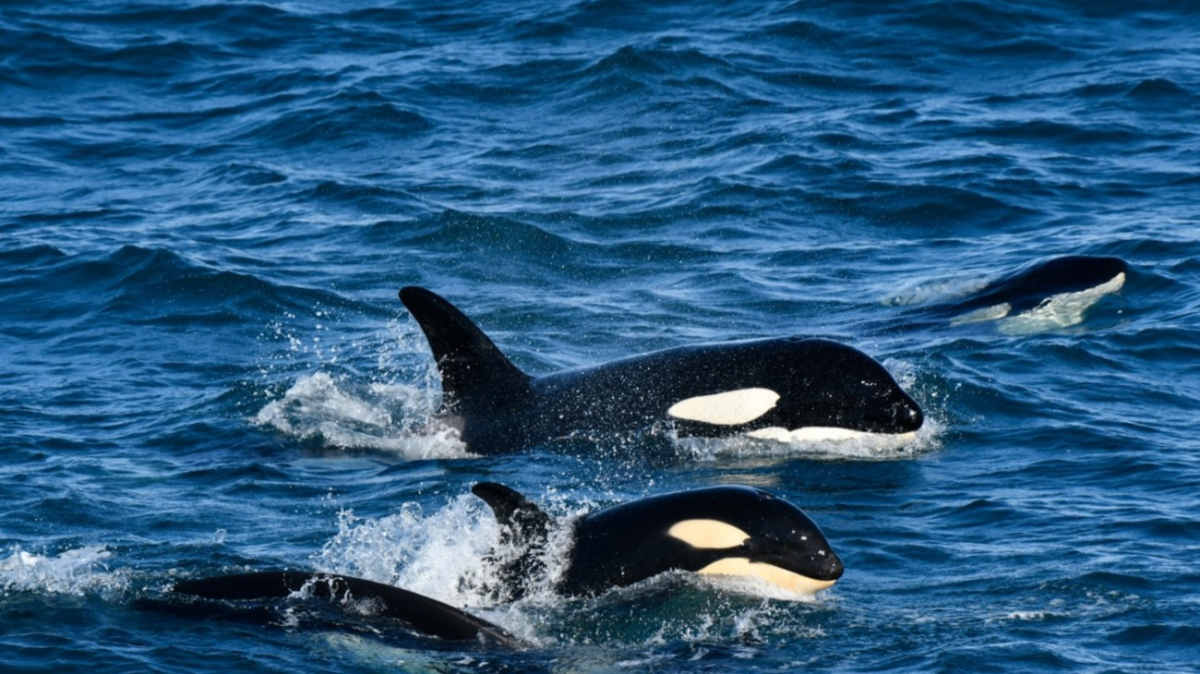 Фото из архива Клуба