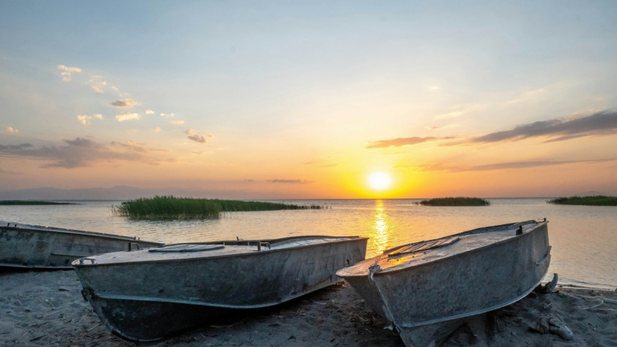 Фото: Nikolay Werner, unsplash.com