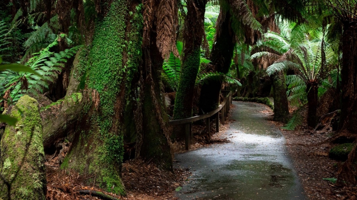 Фото: 
Millie Mae, unsplash.com