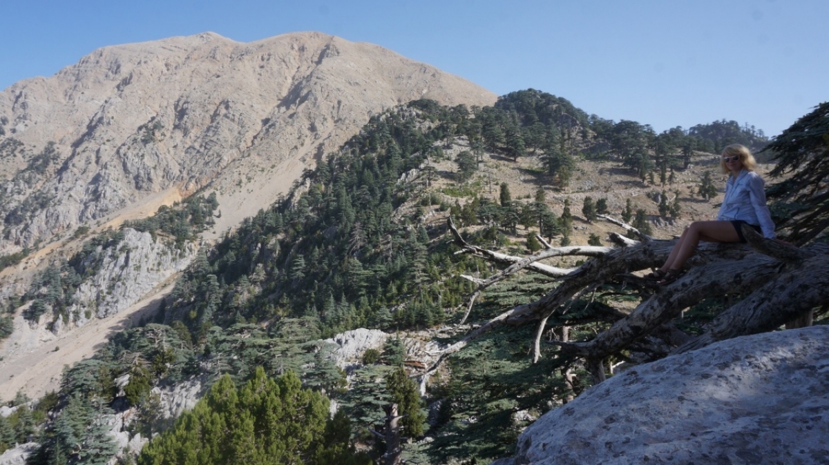 Фото Светланы Тягиной