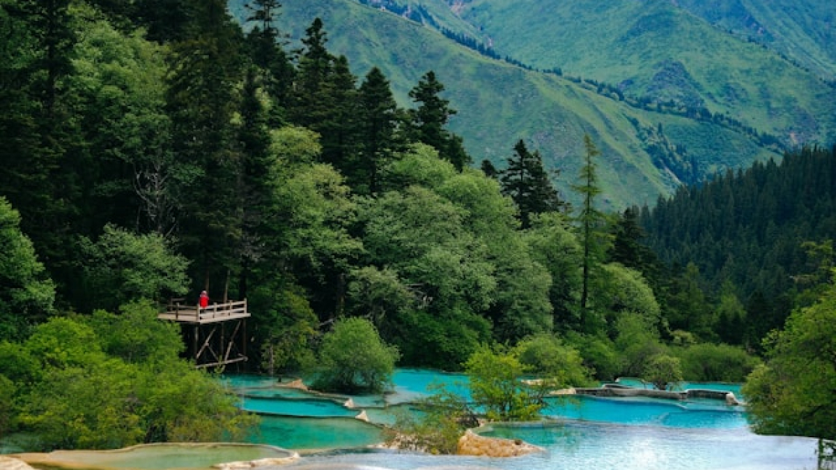 Фото: Rosalind Chang on Unsplash