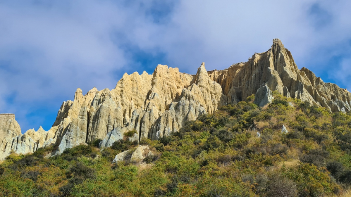 Фото: JustGoThere.NZ