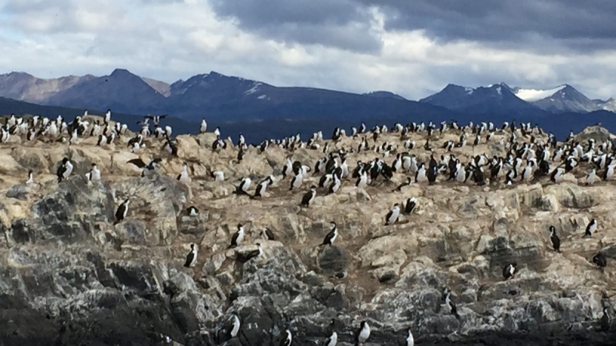 Rodrigo Soldon Souza on VisualHunt 