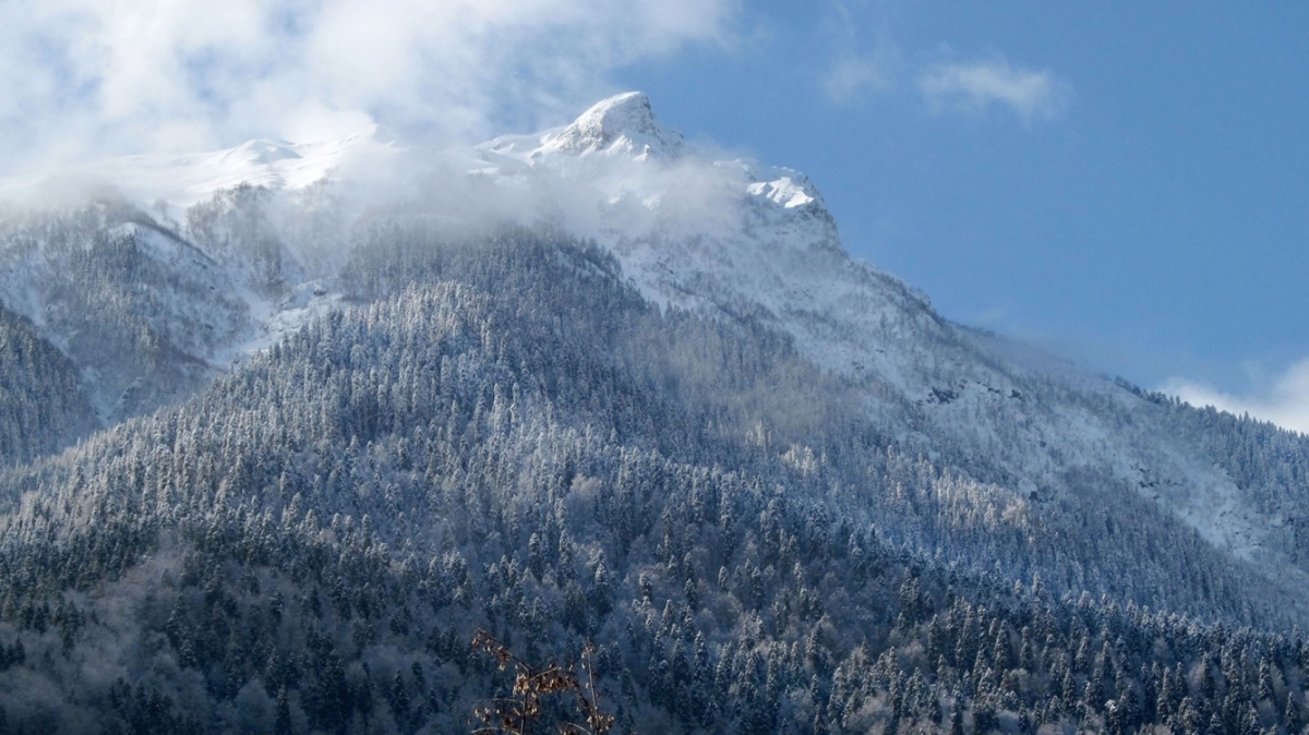 Фото нашего гида Ирины Пряничниковой