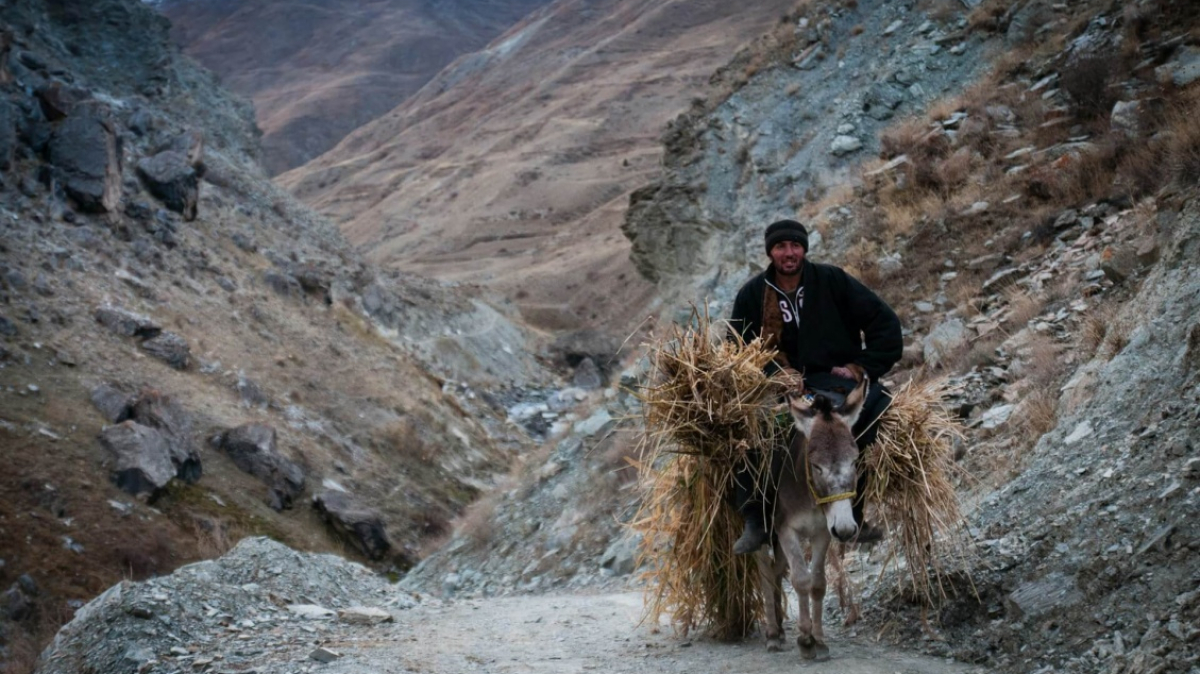 Фото: Joel Heard, unsplash.com