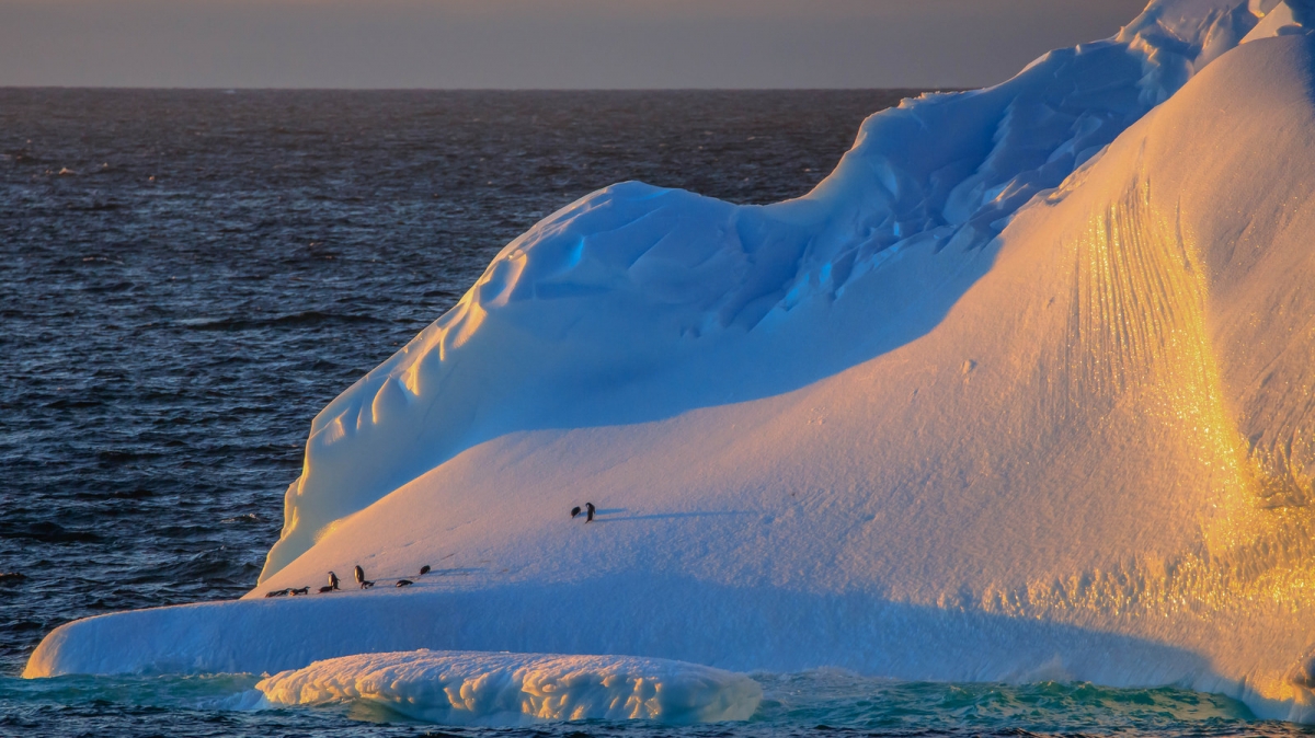 Автор: Murray Foubister, visualhunt