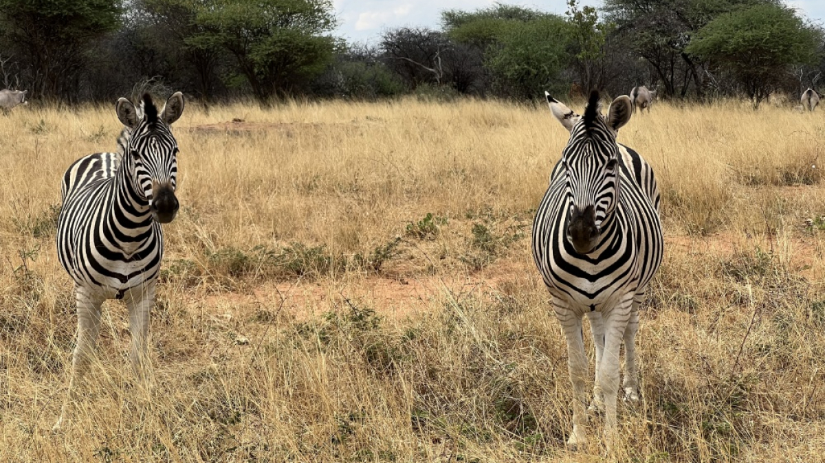 Фото: наш гид Алексей Шорец