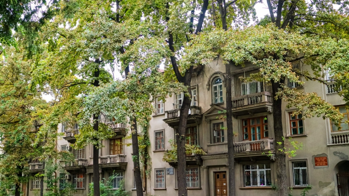 Фото: Damir Samatkulov, unsplash.com