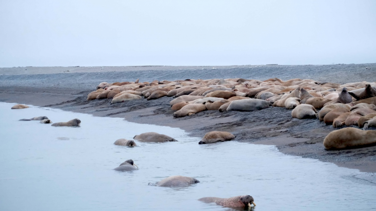 Фото из архива Клуба