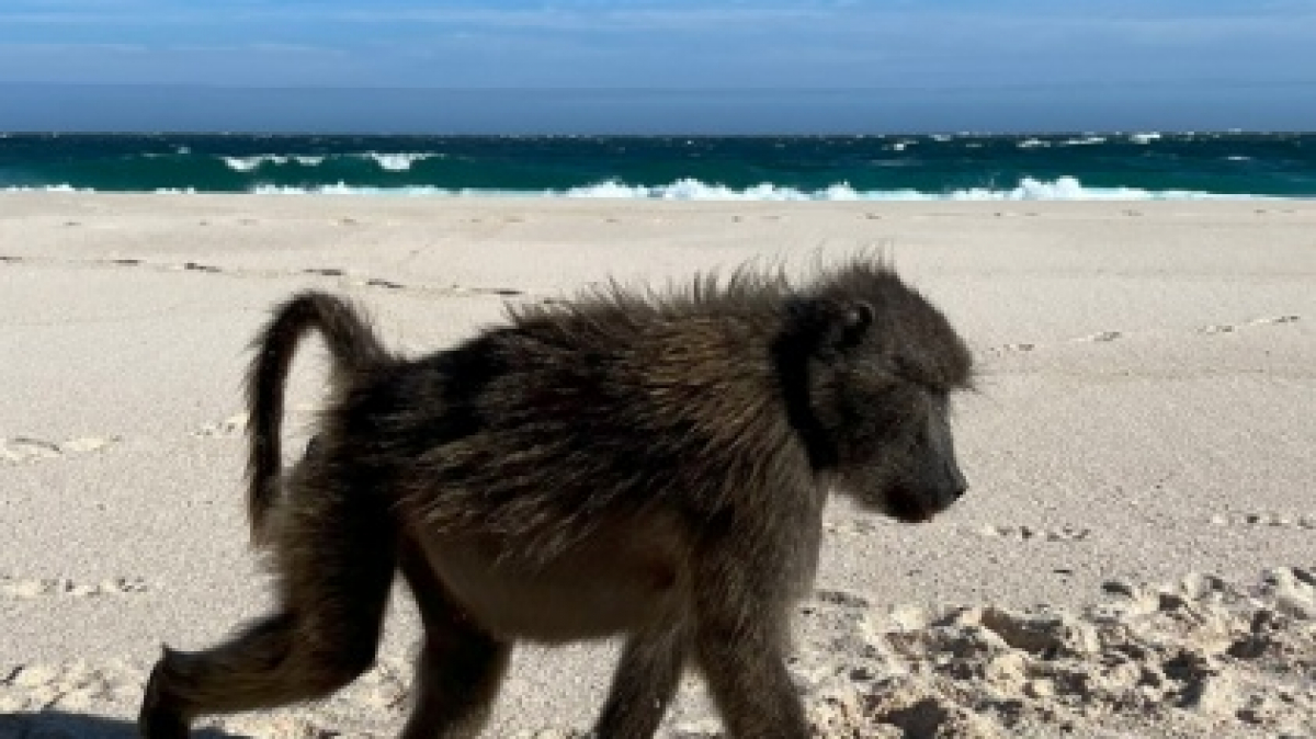 Фото: наш гид Алексей Шорец