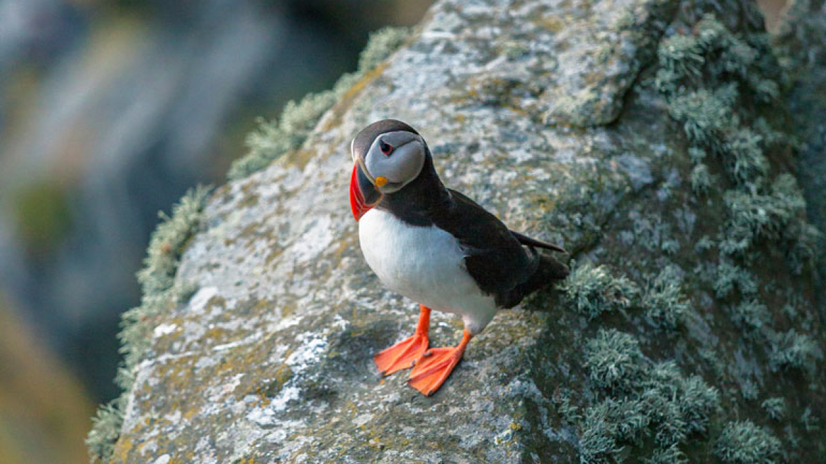 Фото нашего Странника Сергея Набиркина
