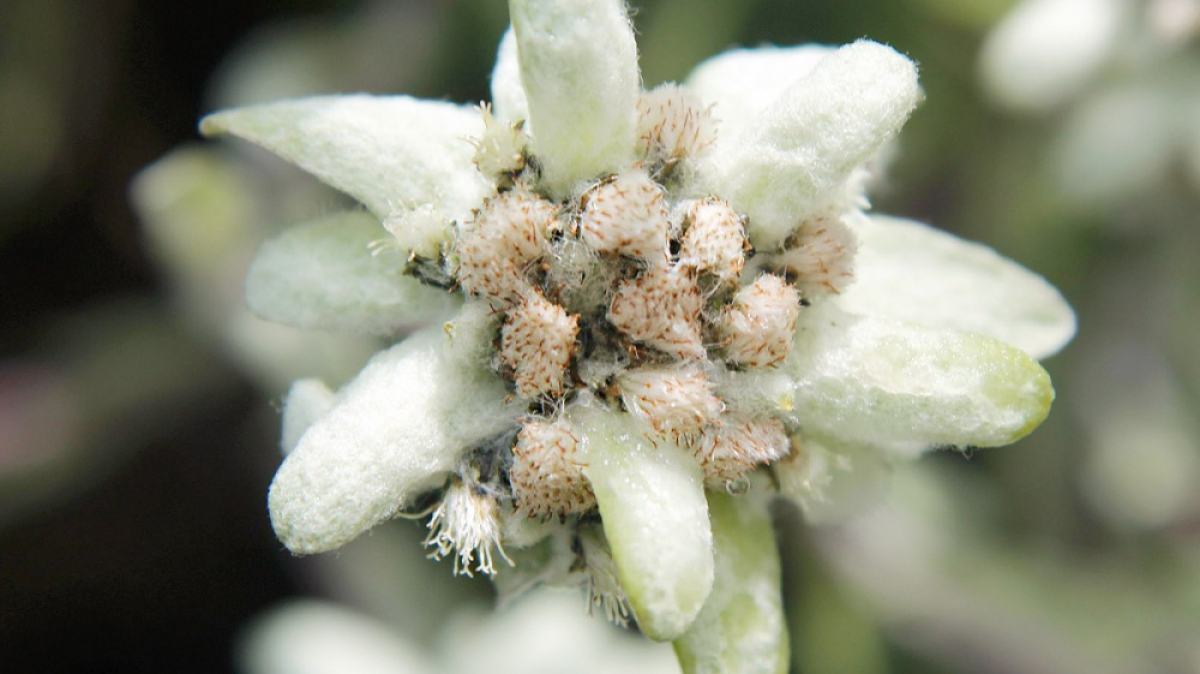 Фото из архива Клуба