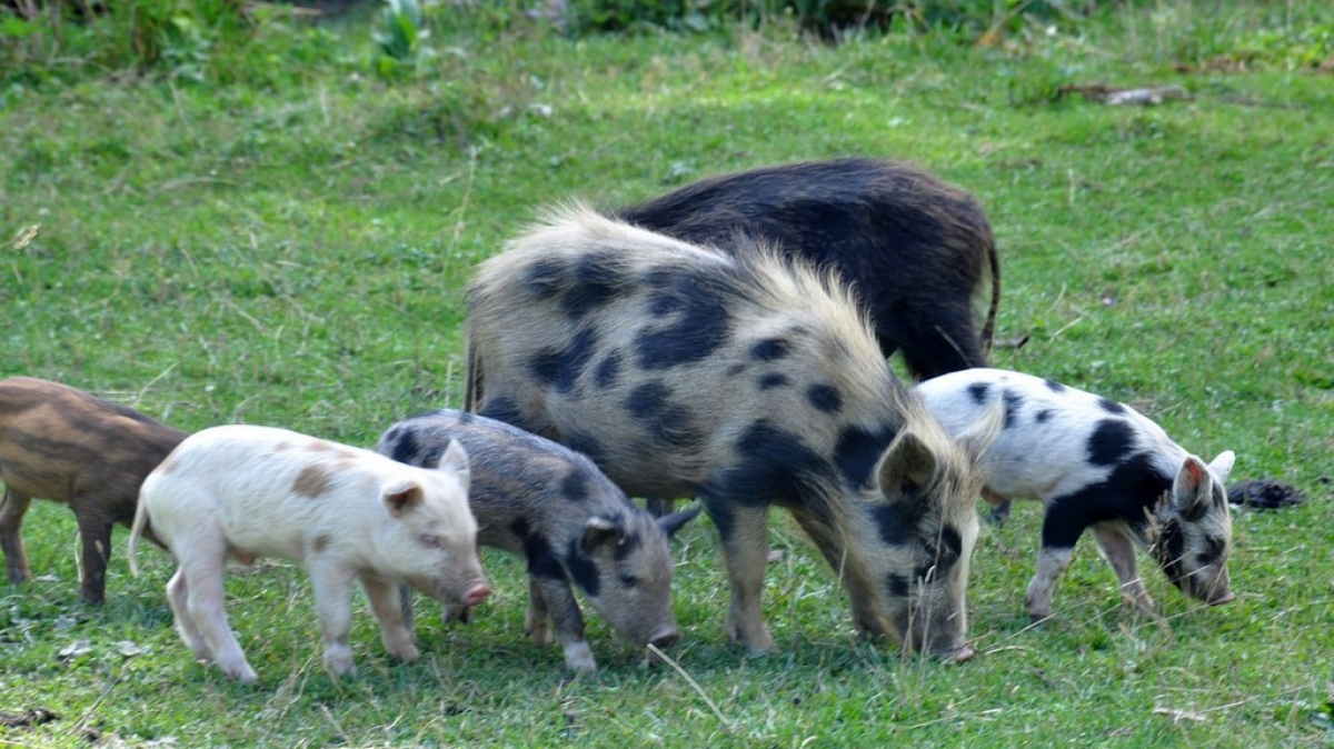 Фото нашего гида Ирины Пряничниковой.