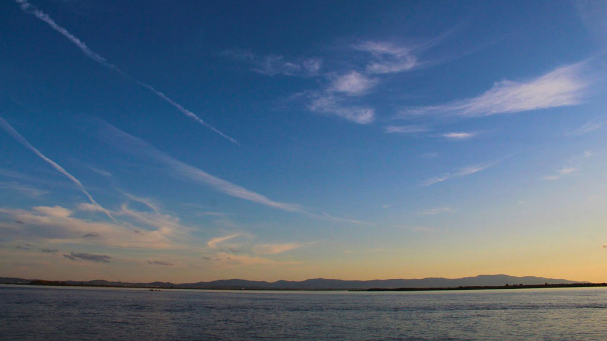 Фото Вероники Кузенковой