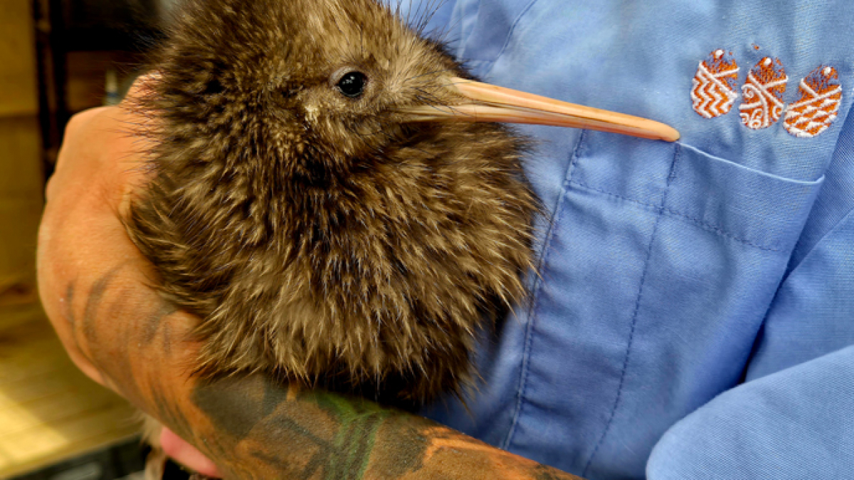 Фото наших партнеров JustGo ThereNZ