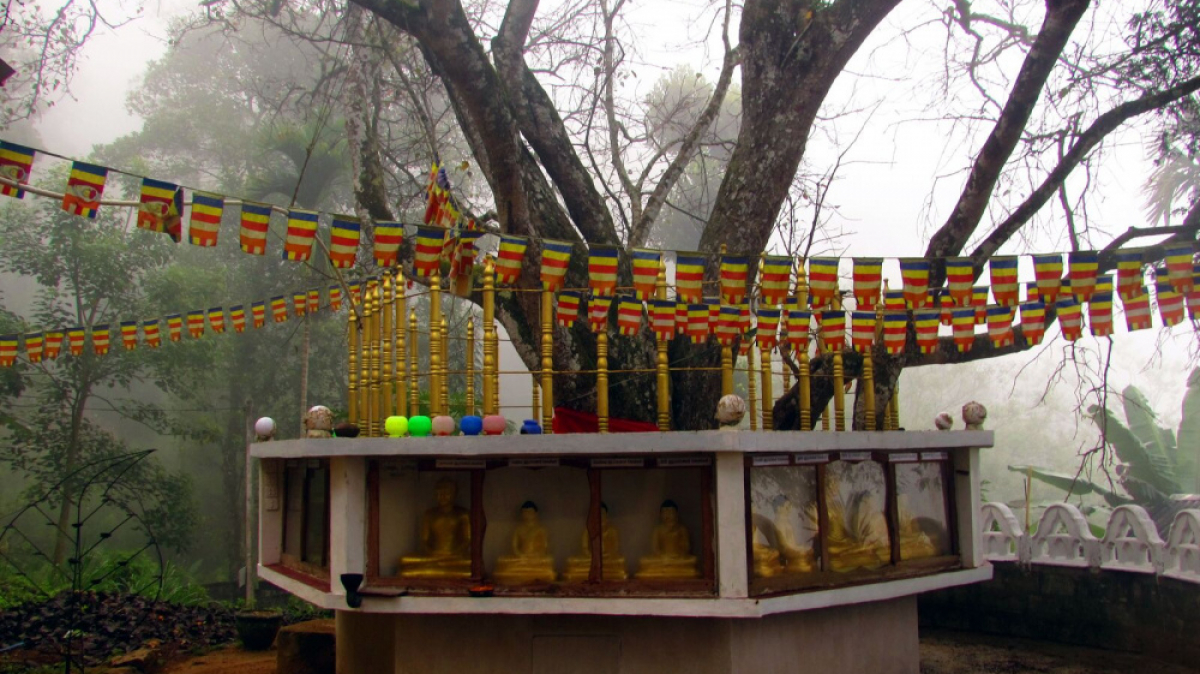 Фото нашего гида Лики Майстровой