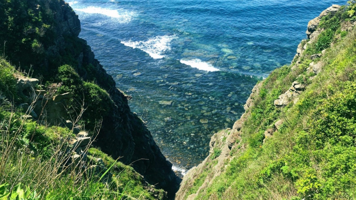 Фото Юлии Коротких