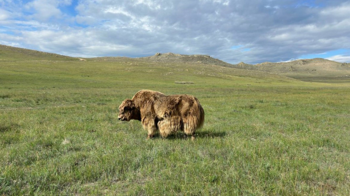 Фото наших Странников