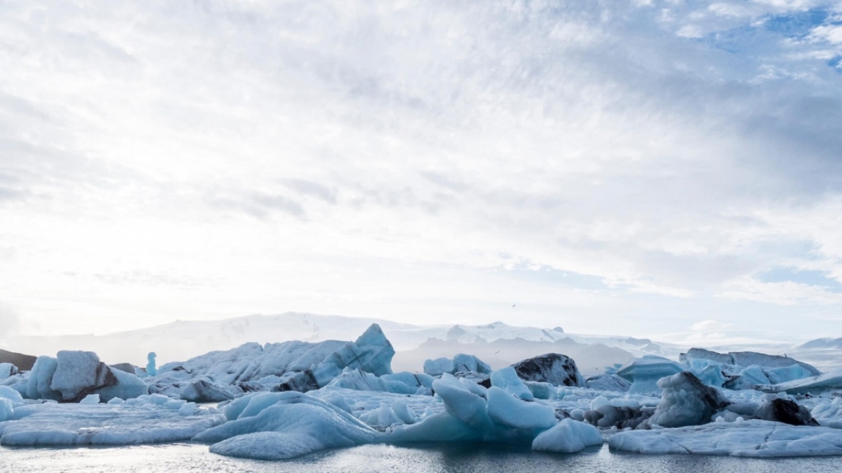 Фото: Majkl Velner, unsplash.com