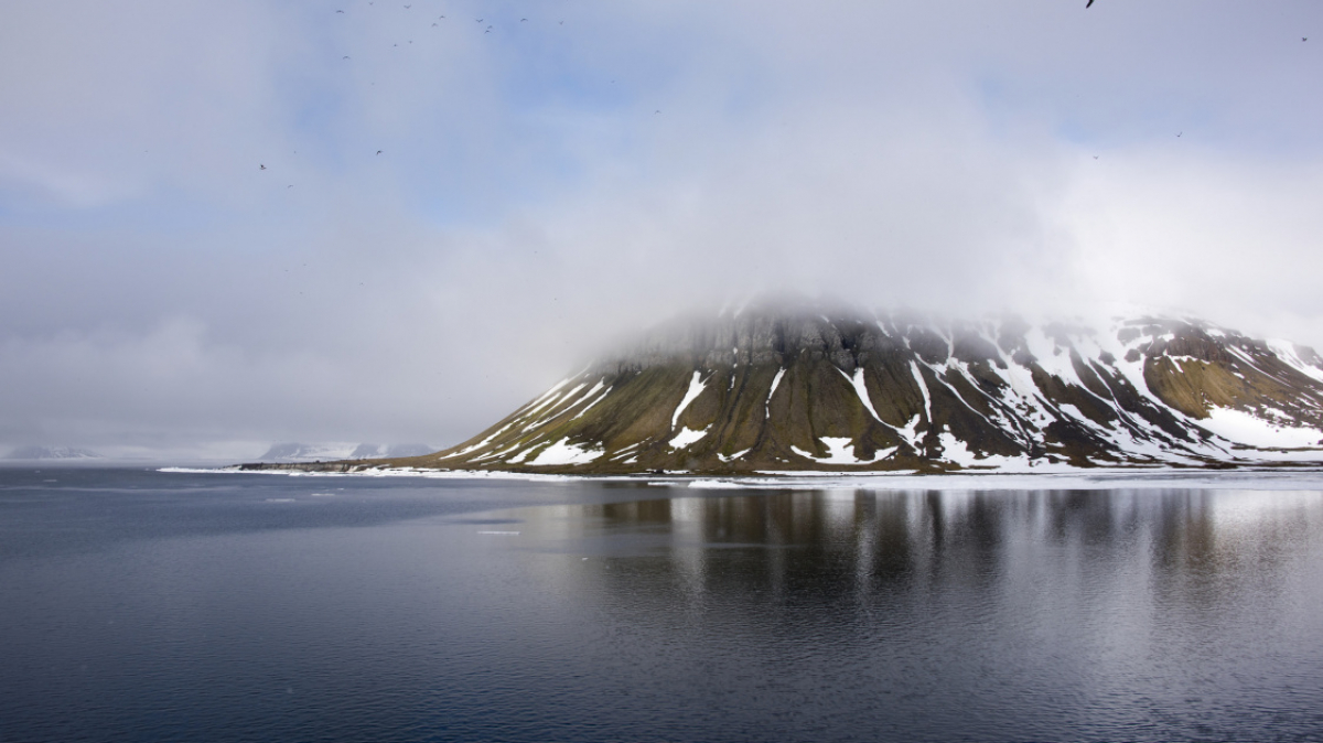 Фото: Christopher.Michel, visualhunt.com