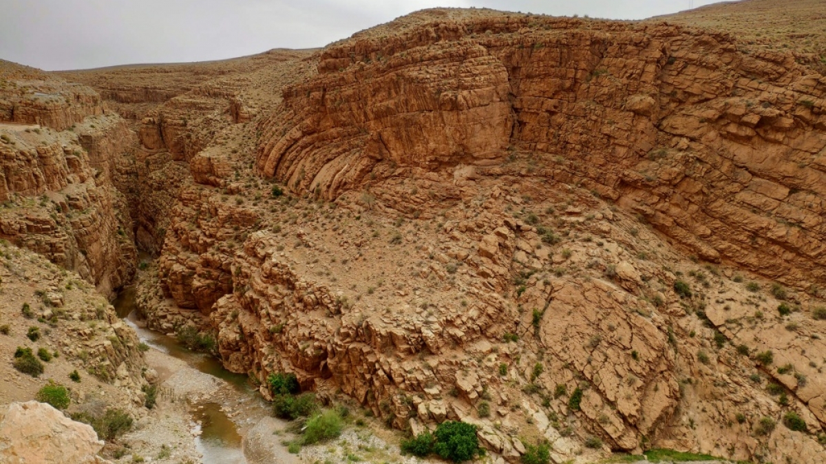 Фото нашего гида Евгении Скопиной