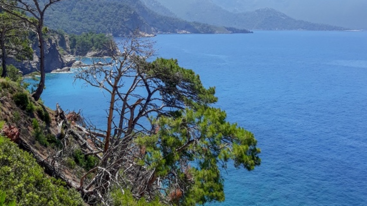 Фото нашего гида Марины Чудновской