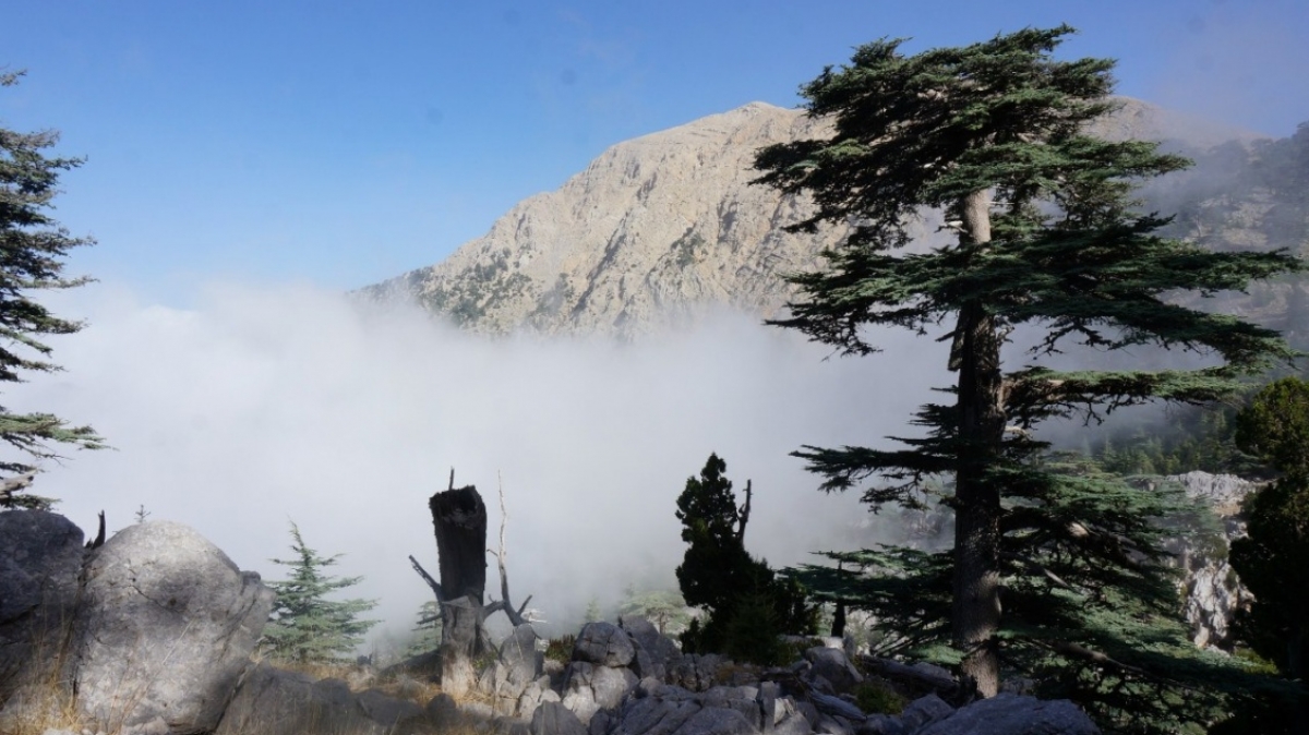 Фото нашего Странника Дмитрия Янкова