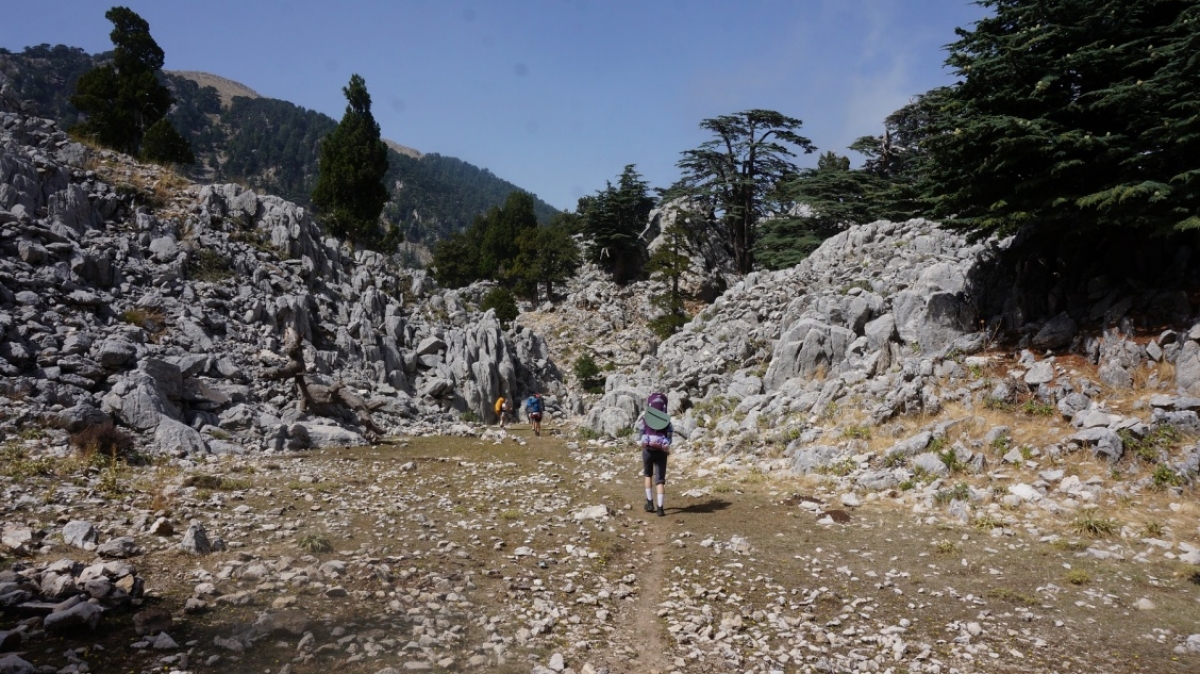 Фото Светланы Тягиной