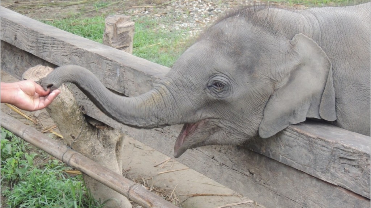 Фото из архива Клуба