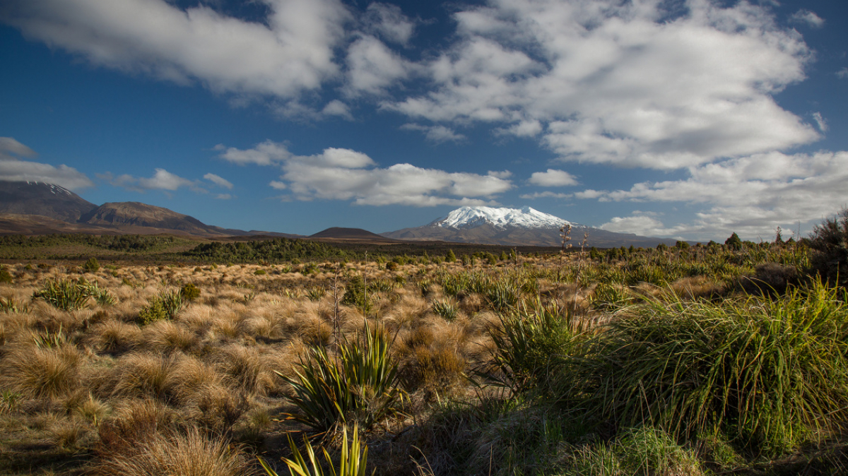Фото нашей Странницы Татьяны Руновой